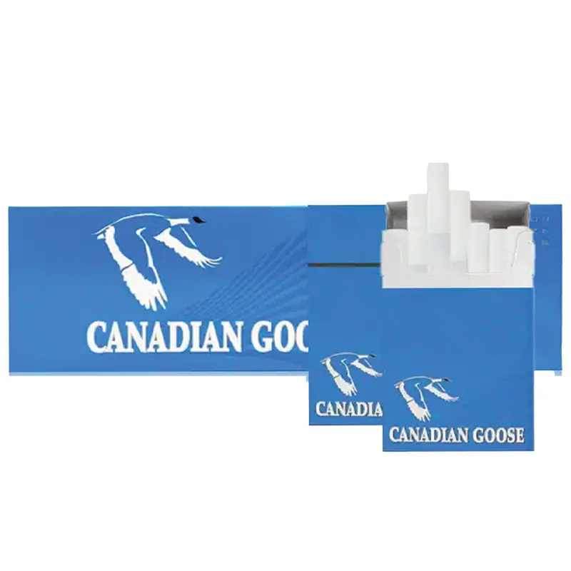 CANADIAN GOOSE LIGHTS