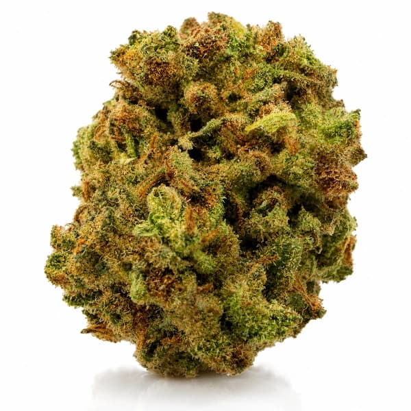 APPLE KUSH