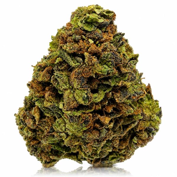 CHOCOLATE KUSH