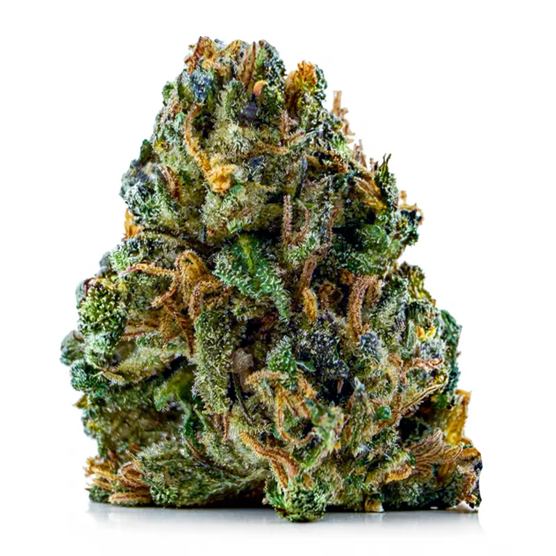 PINK STICKY ALIEN