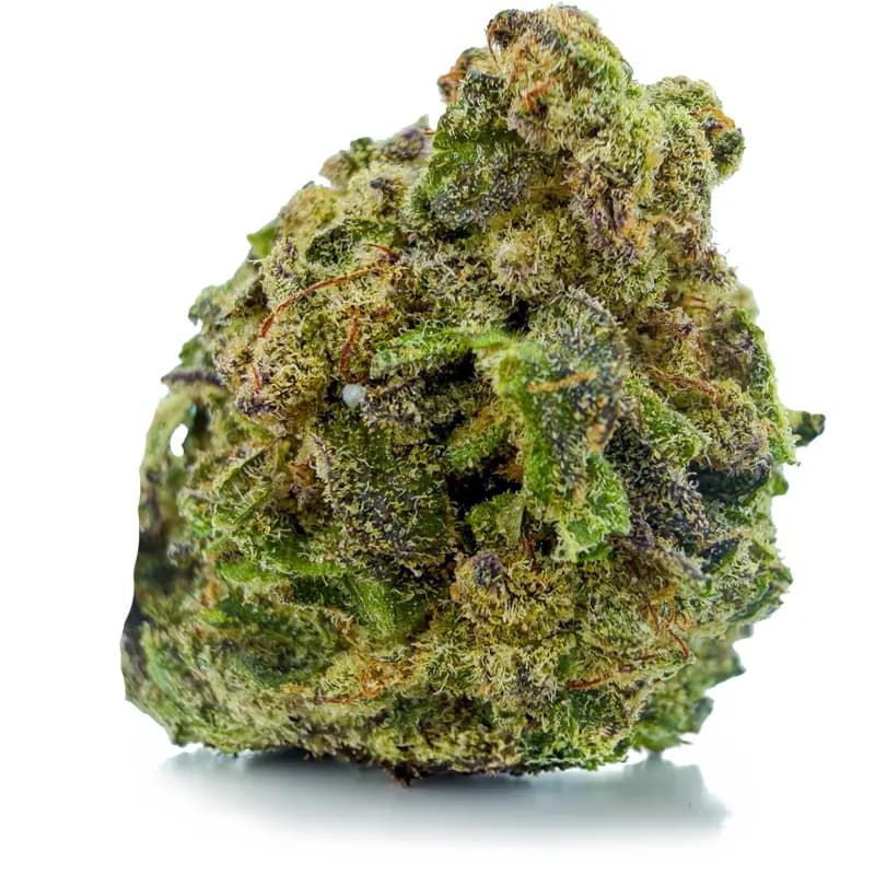 GAS MONKEY