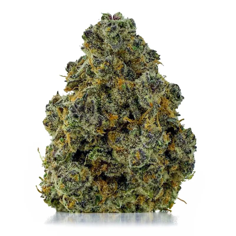 BC KUSH