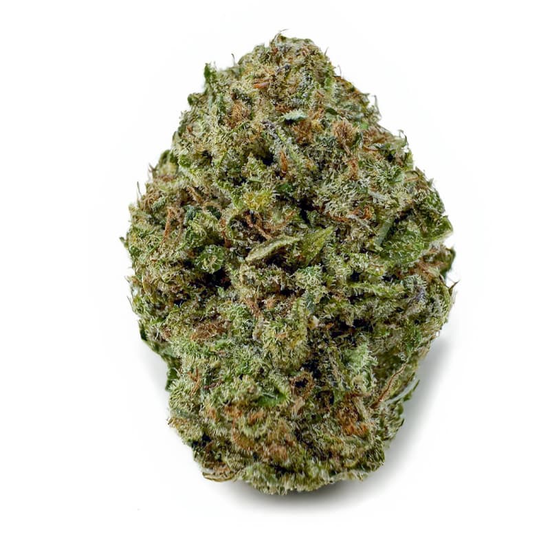 OG KUSH (AA)