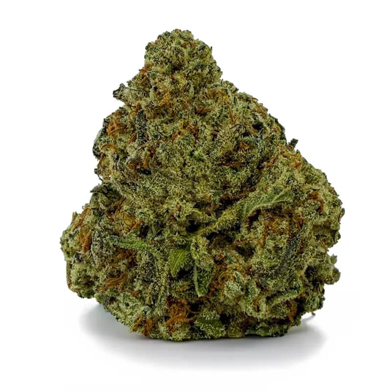 SLURRICANE