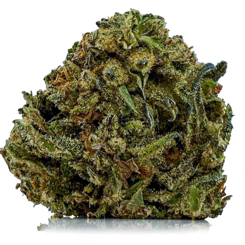 QUANTUM KUSH