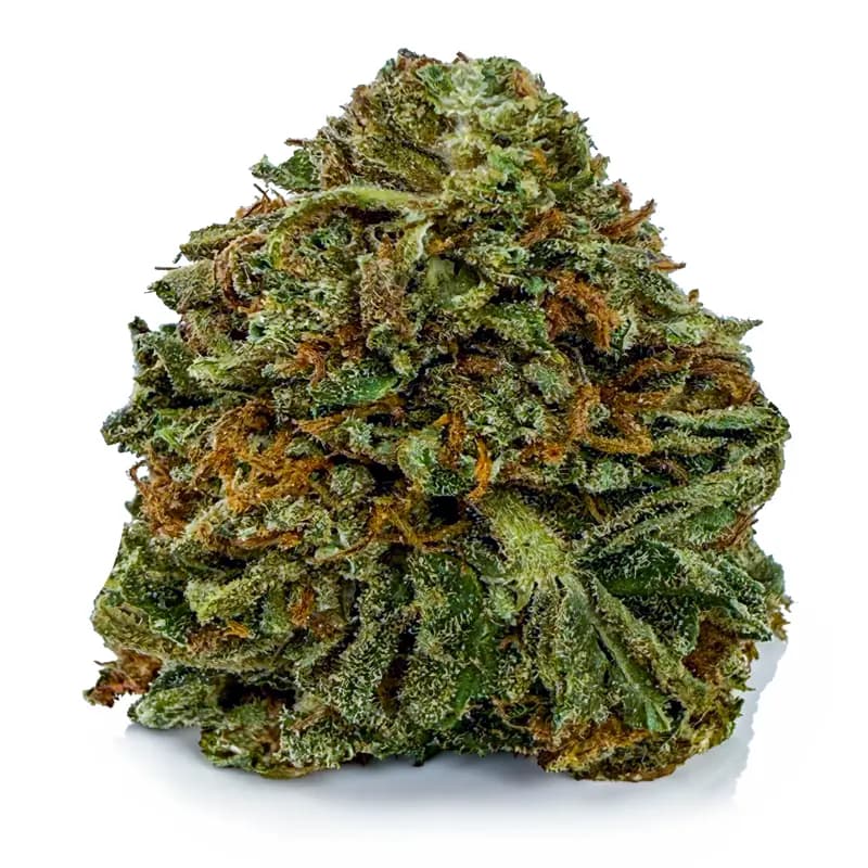 VANILLA ICE KUSH