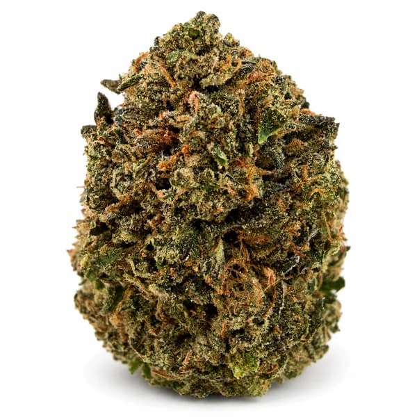 GOLDEN GAS