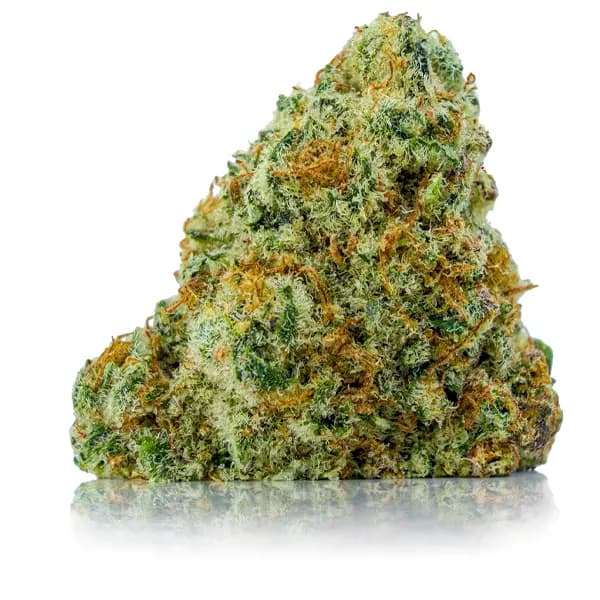 PINK HOLY GRAIL
