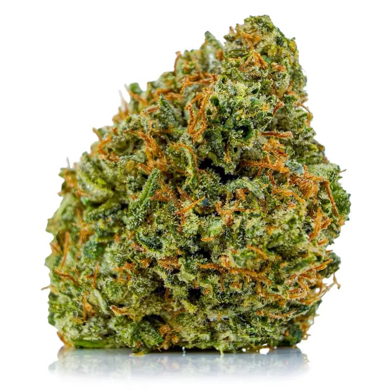 PINK SKYWALKER