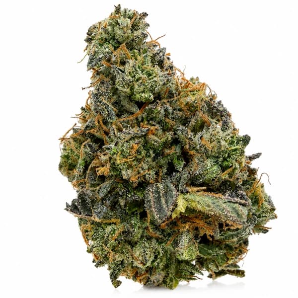 WORLD CUP KUSH