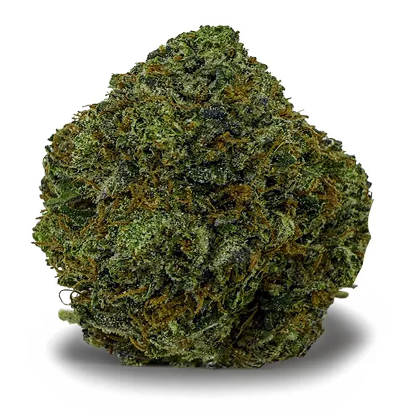 PLATINUM TUNA
