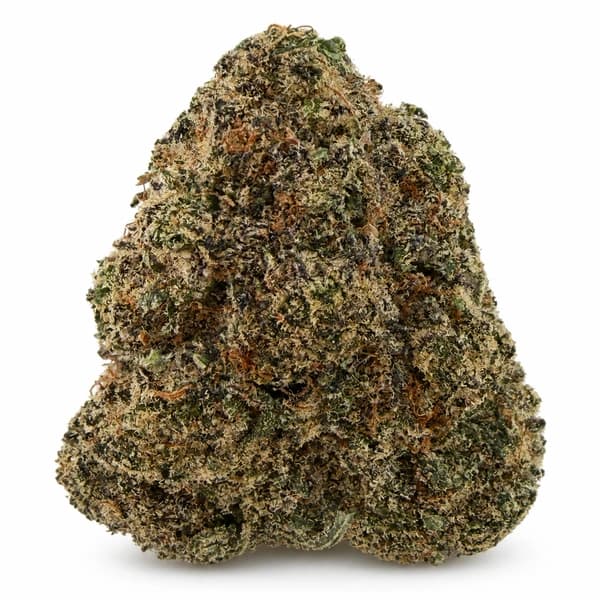 NEW BLACK MAMBA (AAAA+)