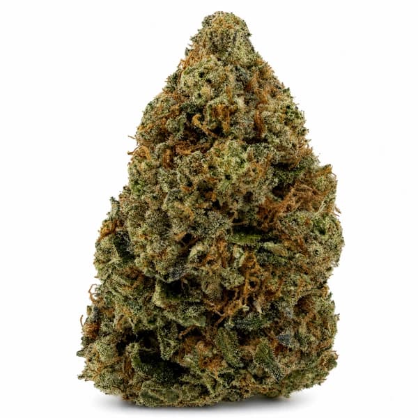 ALIEN SMACK PINK