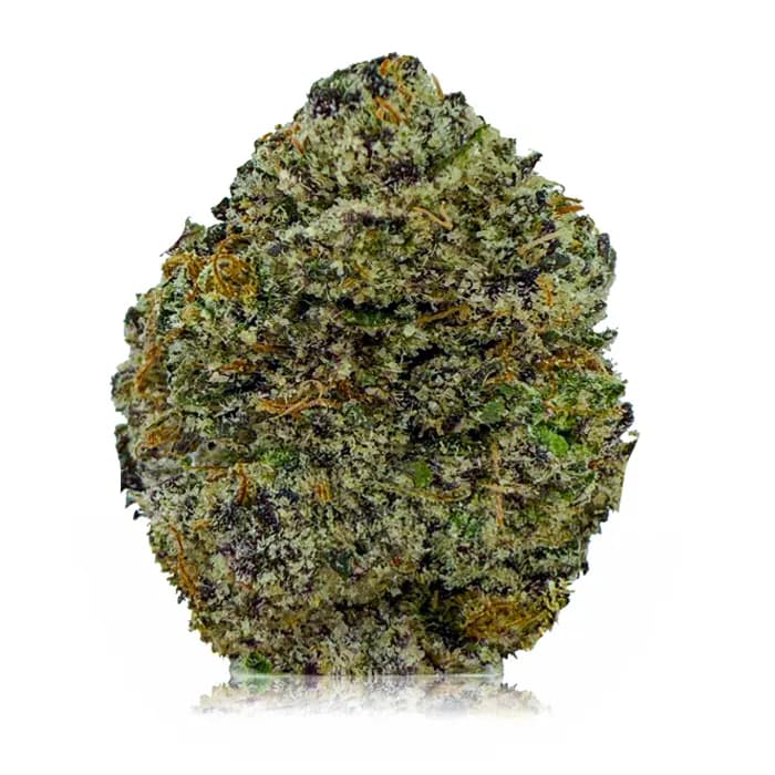 PINK ICKY STICKY