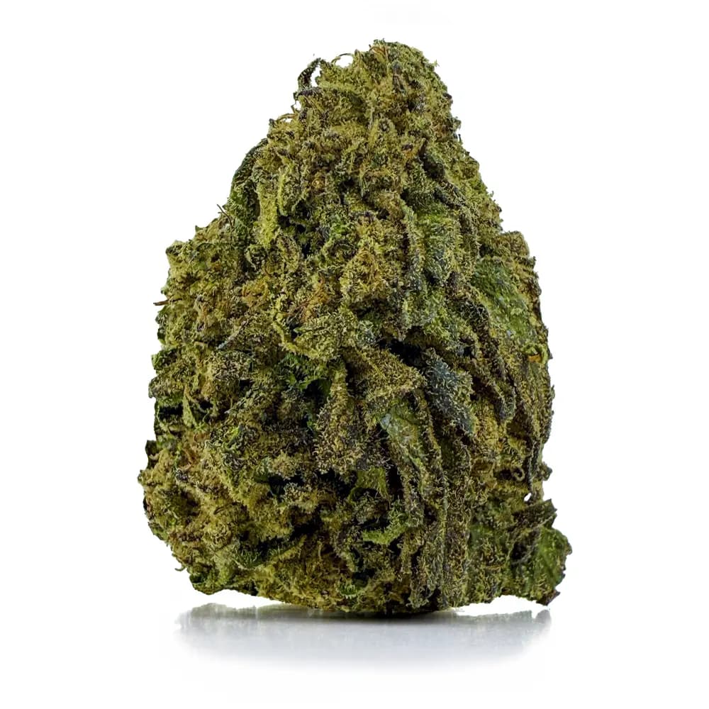 SWEET KUSH