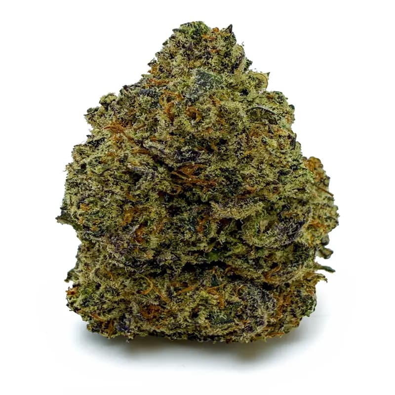 PURPLE SKUNK