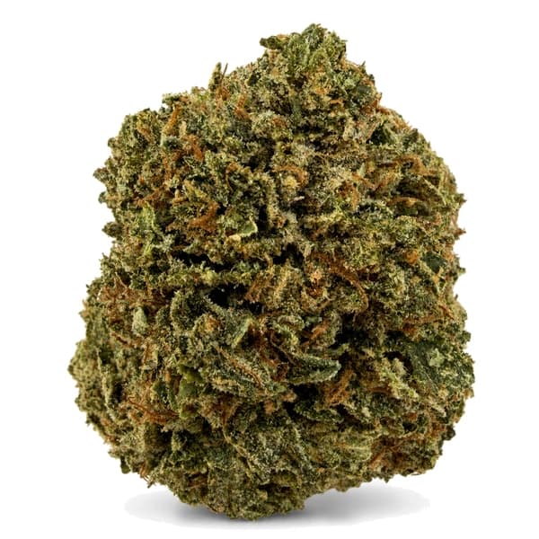 MASTER KUSH (AAA+)
