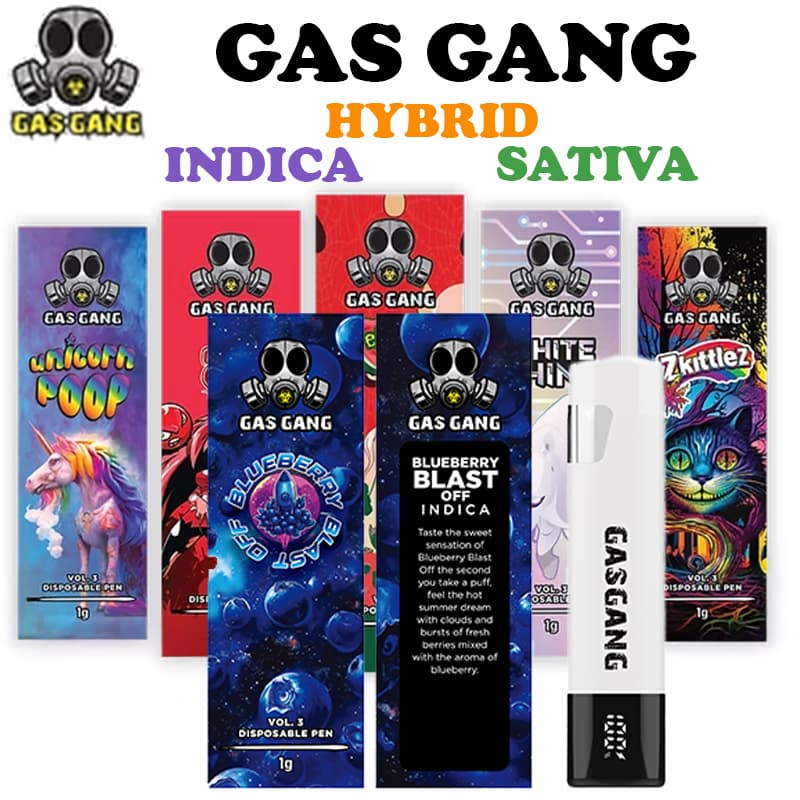 GAS GANG DISPO VAPE 1G