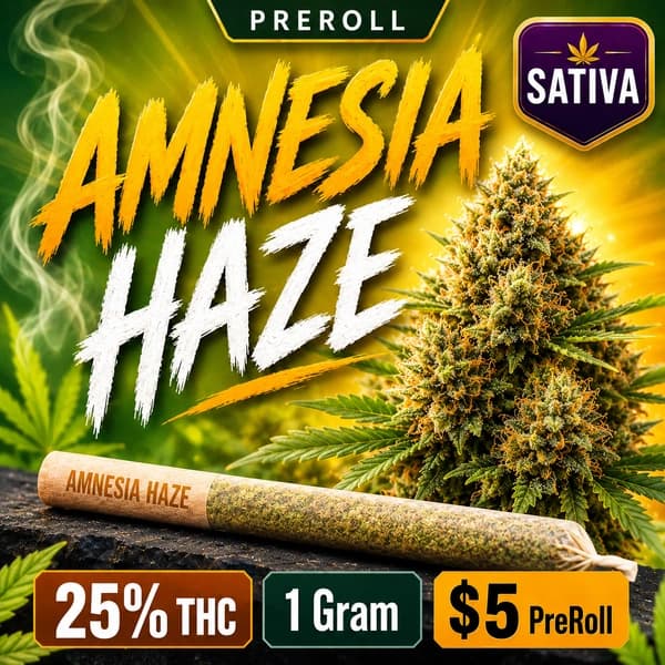 AMNESIA HAZE 1G SAT PRE-ROLL