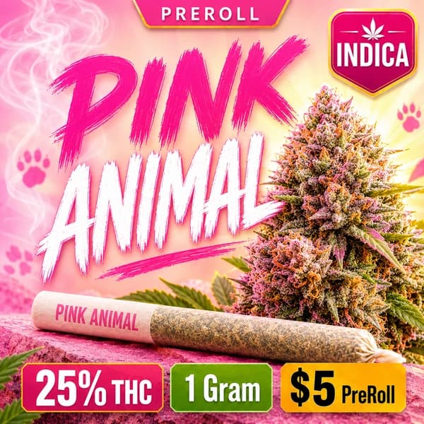 PINK ANIMAL 1G IND PRE-ROLL