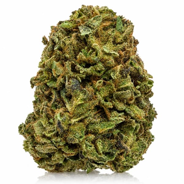 HOLLYWOOD KUSH